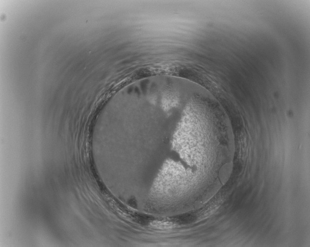 X0000056000699200508261750