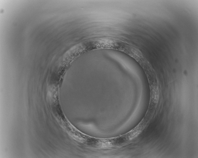 X0000056000701200508261750