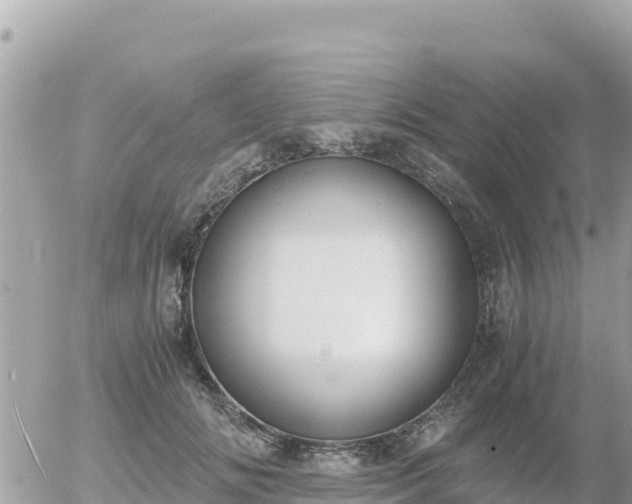 X0000056000702200508261750