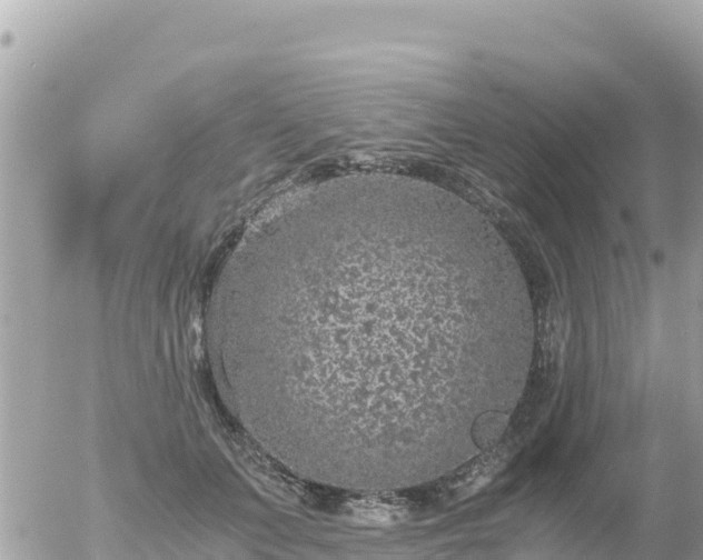 X0000056000703200508261750