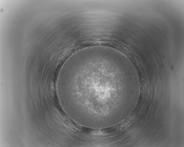 X0000056000704200508261750