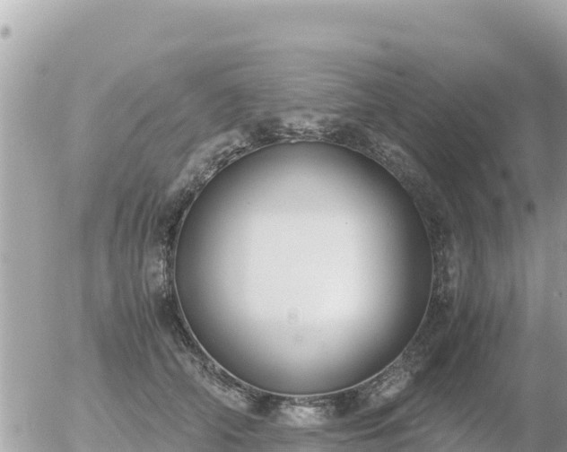 X0000056000706200508261750