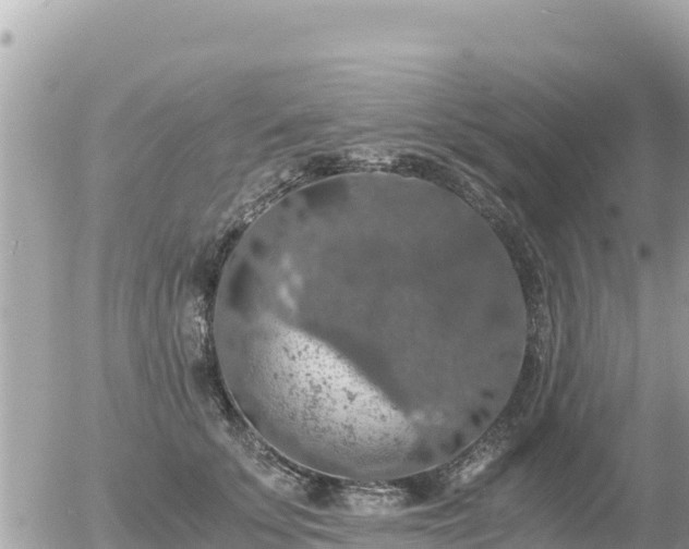 X0000056000707200508261750