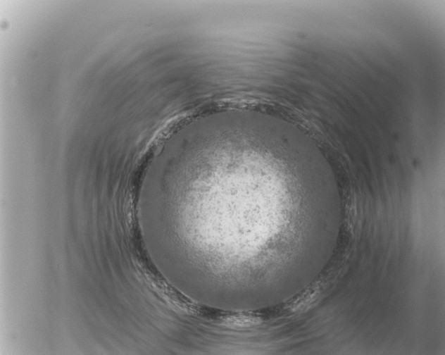 X0000056000708200508261750