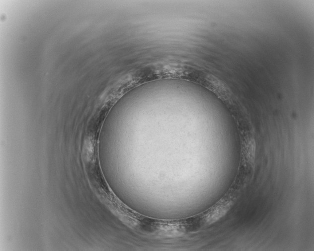 X0000056000709200508261750