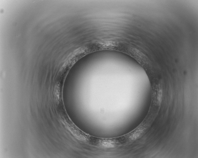 X0000056000710200508261750