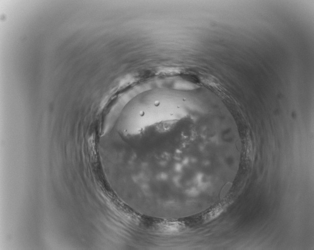 X0000056000711200508261750