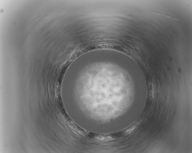 X0000056000712200508261750