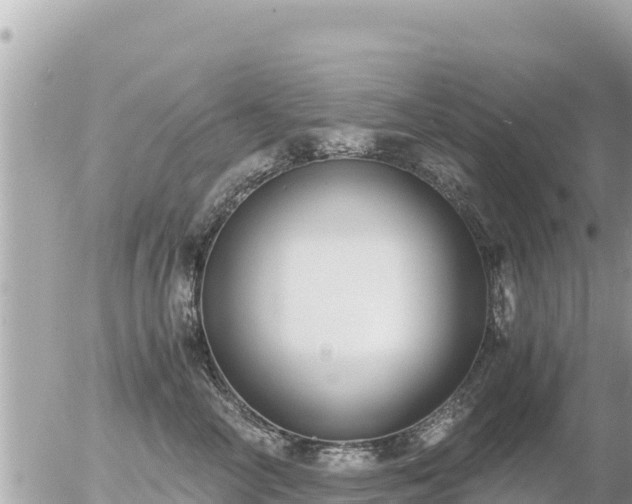 X0000056000714200508261750