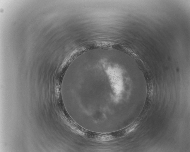 X0000056000716200508261750