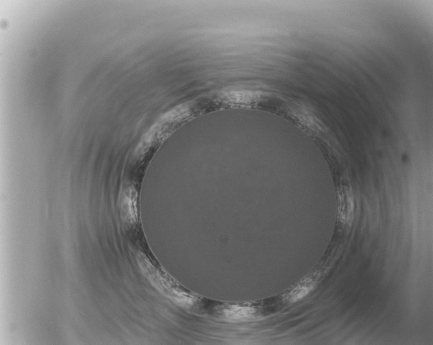 X0000056000718200508261750