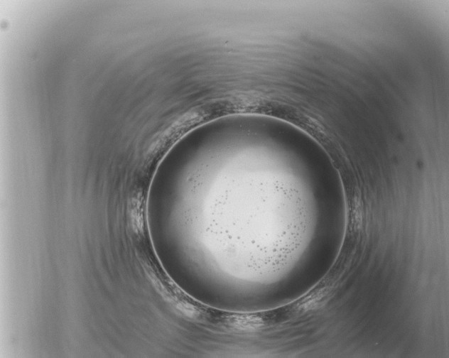 X0000056000719200508261750