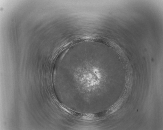 X0000056000720200508261750