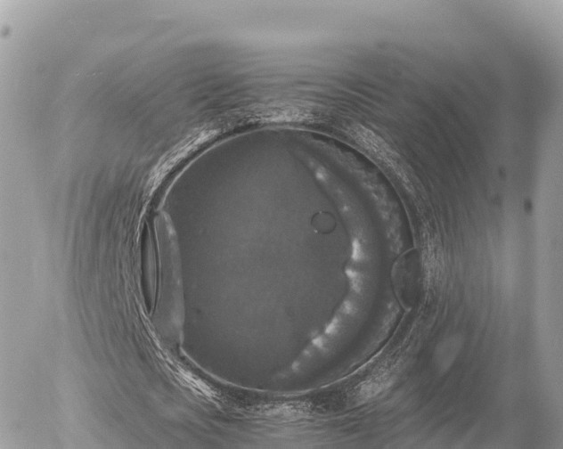 X0000056000721200508261749