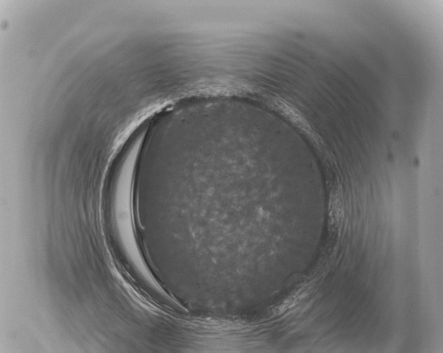 X0000056000722200508261749