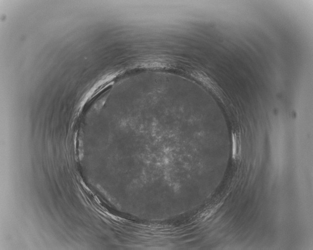 X0000056000723200508261749