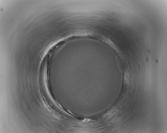 X0000056000724200508261749