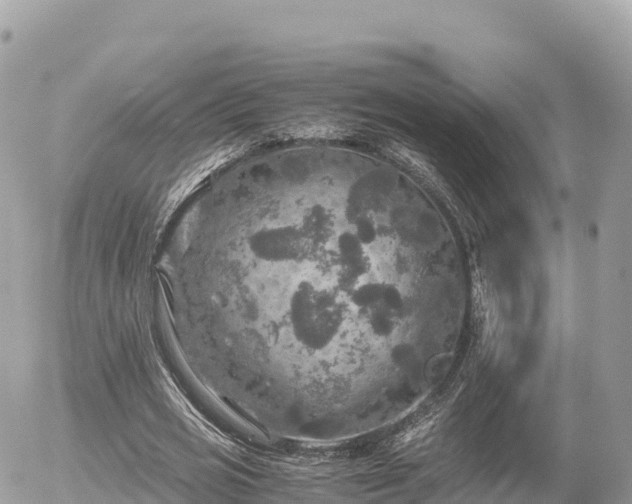 X0000056000725200508261749