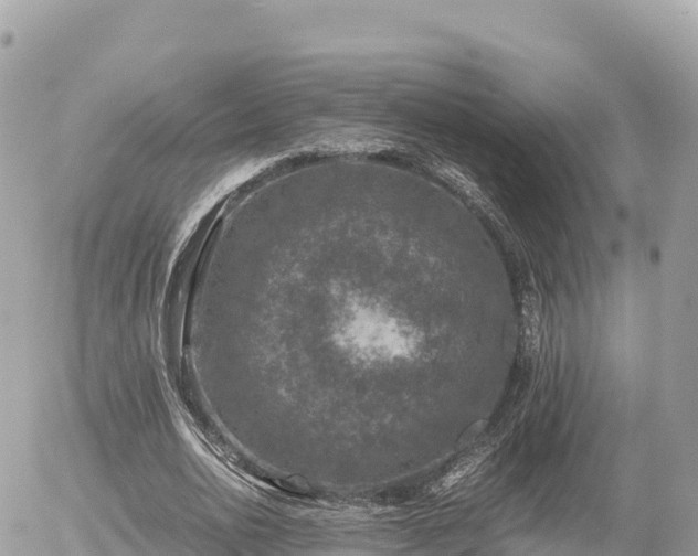 X0000056000726200508261749