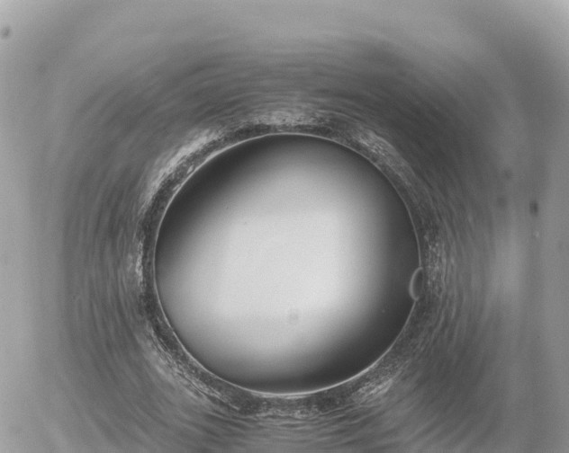 X0000056000727200508261749