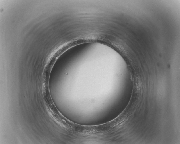 X0000056000728200508261749