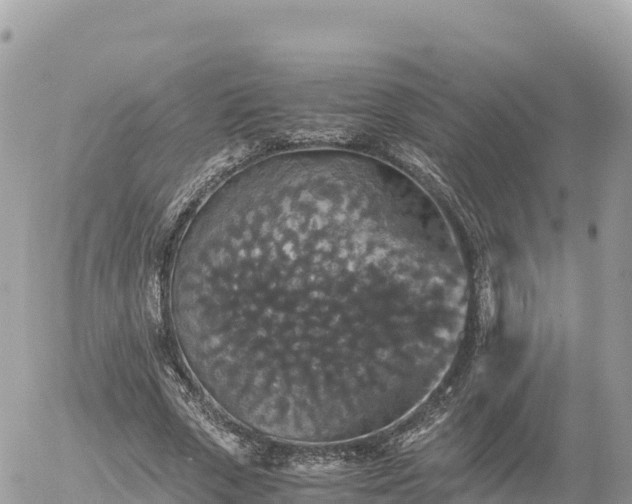 X0000056000729200508261749