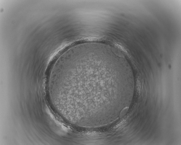 X0000056000730200508261749