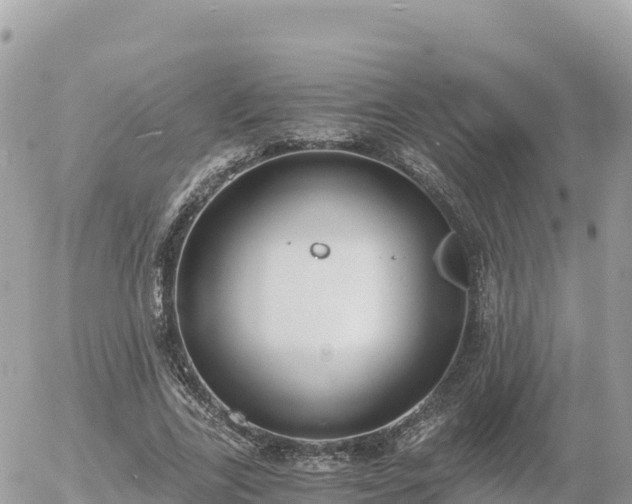 X0000056000731200508261749