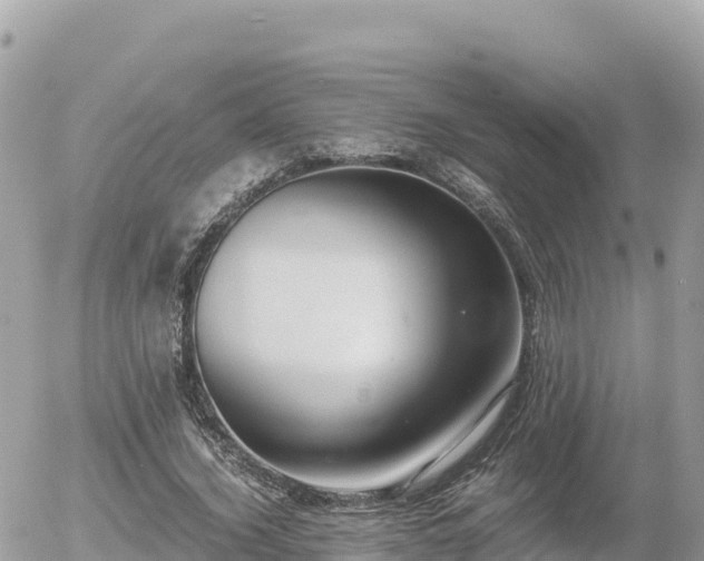 X0000056000732200508261749