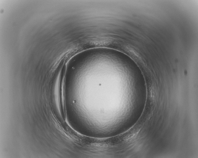 X0000056000733200508261749