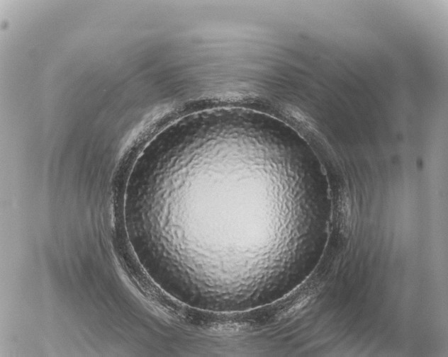 X0000056000734200508261749