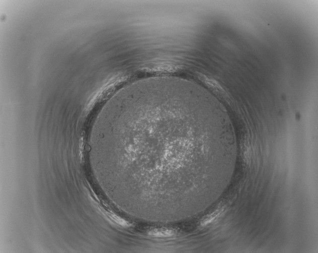 X0000056000735200508261749