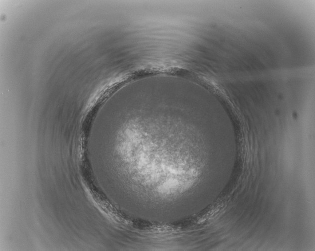 X0000056000736200508261749