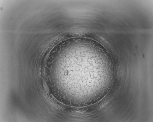 X0000056000737200508261749