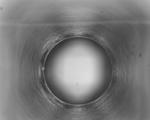 X0000056000740200508261749