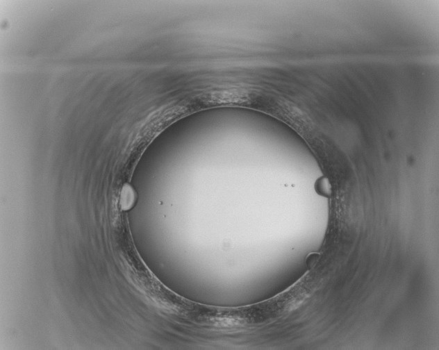 X0000056000741200508261749