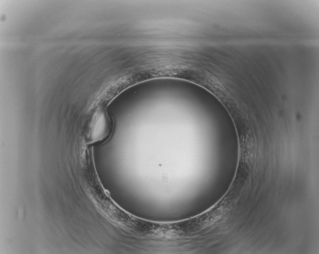 X0000056000742200508261749