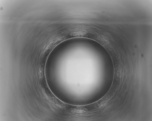 X0000056000743200508261749