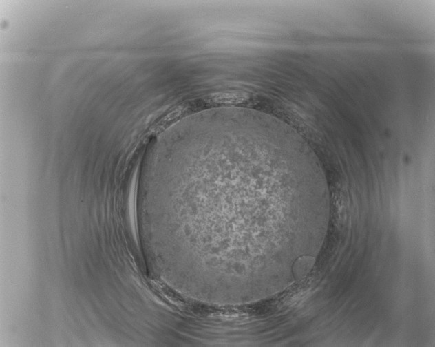 X0000056000745200508261749