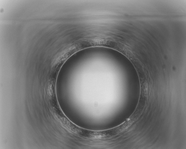 X0000056000746200508261749