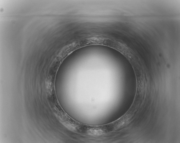 X0000056000749200508261749