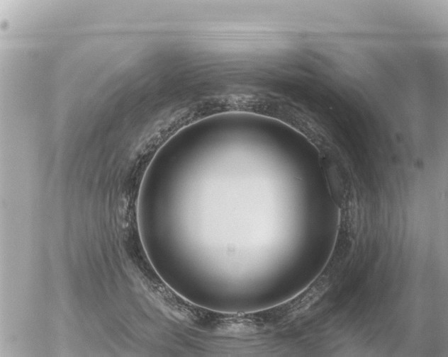 X0000056000750200508261749