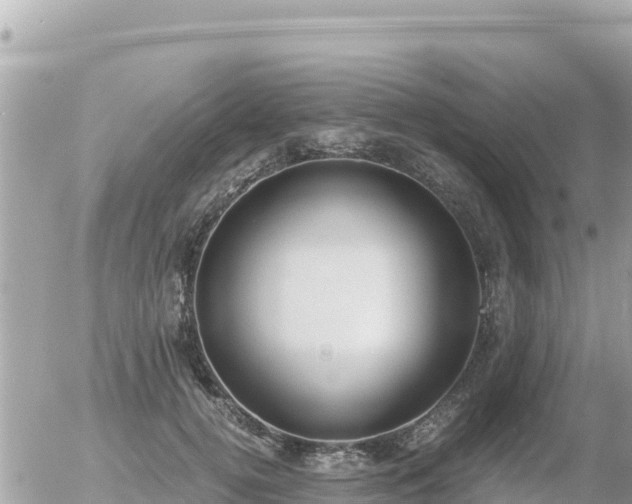 X0000056000752200508261749