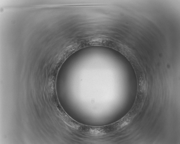 X0000056000753200508261749