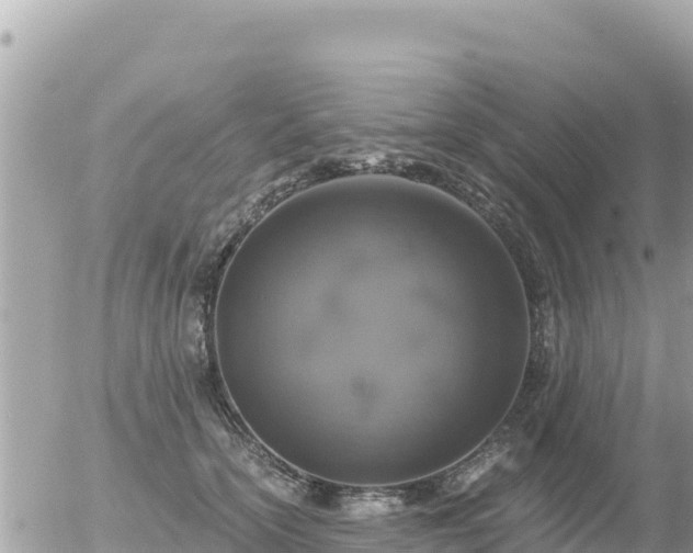 X0000056000754200508261749