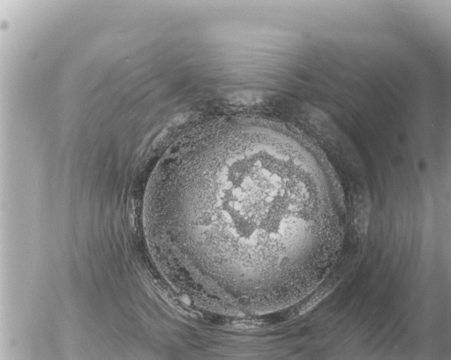 X0000056000758200508261749