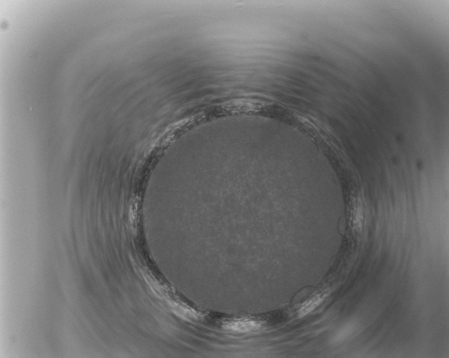 X0000056000759200508261749