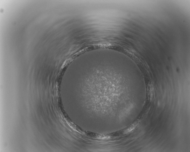 X0000056000760200508261749