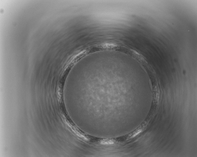 X0000056000762200508261749