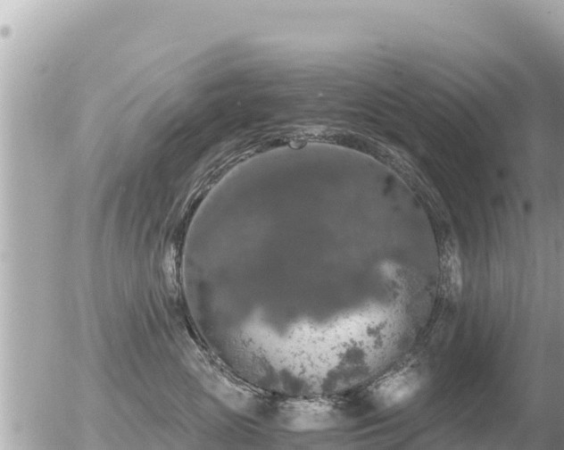 X0000056000765200508261749